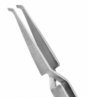 Direct Bond Bracket Holder